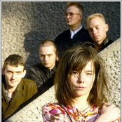 Sugarcubes - List pictures