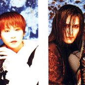 Penicillin - List pictures