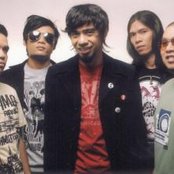 Rocksteddy - List pictures