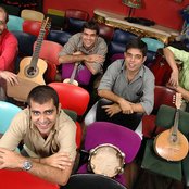 Casuarina - List pictures