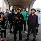 Easy Star All-stars - List pictures