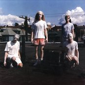 Silkworm - List pictures