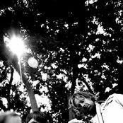 Fiction Family - List pictures