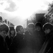 The Coral - List pictures