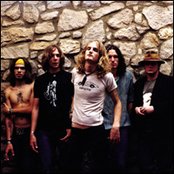 Silvertide - List pictures