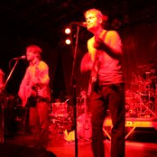 Annuals - List pictures