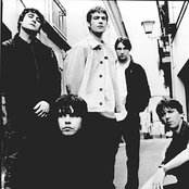 Charlatans Uk - List pictures