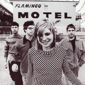 Eves Plum - List pictures