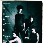 Neon - List pictures