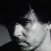 Cass Mccombs - List pictures