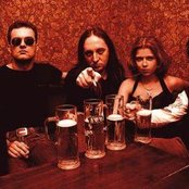 Forgive-me-not - List pictures