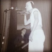 The Cows - List pictures