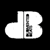 Flux Pavilion - List pictures