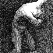 Lumisokea - List pictures