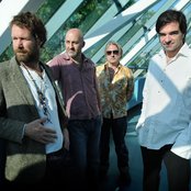 Hothouse Flowers - List pictures