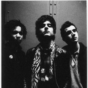 Bb Brunes - List pictures