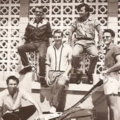 Mental As Anything - List pictures