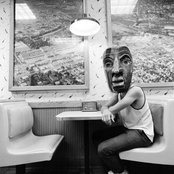 Shy Girls - List pictures