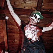 Salmo - List pictures