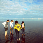 Braids - List pictures