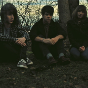 Hibou - List pictures