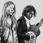 The Common Linnets - List pictures