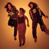 Noisettes - List pictures