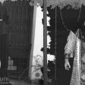 Lucifugum - List pictures