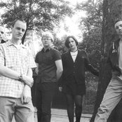 Trembling Blue Stars - List pictures