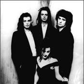 The Cranes - List pictures