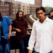 Ill Niño - List pictures