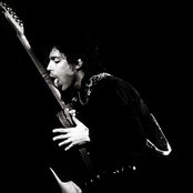 Prince - List pictures