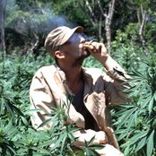 Gentleman - List pictures