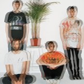 Cheatahs - List pictures