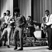 James Brown - List pictures
