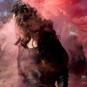 Visions Of Trees - List pictures