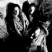 Dead Flowers - List pictures