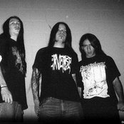 Disgorge - List pictures