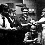 Pauline Oliveros - List pictures