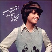 Donny Osmond - List pictures