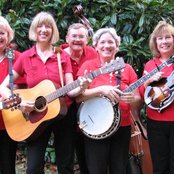 Steel Magnolia - List pictures