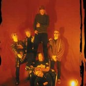 In The Woods... - List pictures