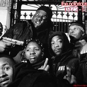 Junior M.a.f.i.a - List pictures