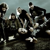 Krokus - List pictures
