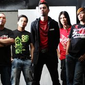 Rocksteddy - List pictures