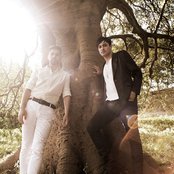 Gypsy And The Cat - List pictures