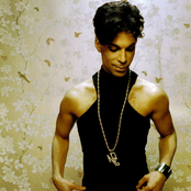 Prince - List pictures