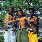 Immature - List pictures