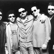 Toto - List pictures