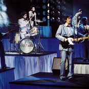 Custard - List pictures